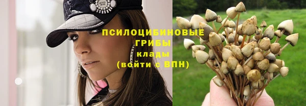 прущий лед Алзамай