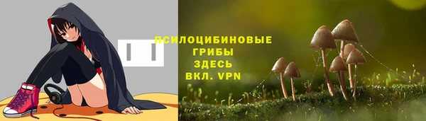 дживик Алексин