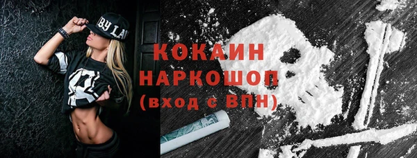 прущий лед Алзамай
