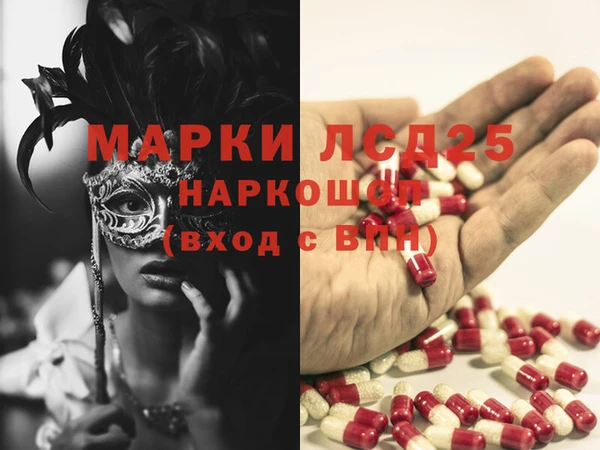 прущий лед Алзамай