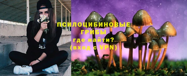 прущие грибы Абдулино