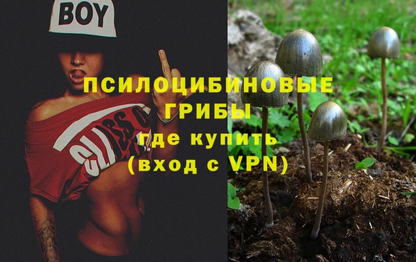 молекула духа Алексеевка
