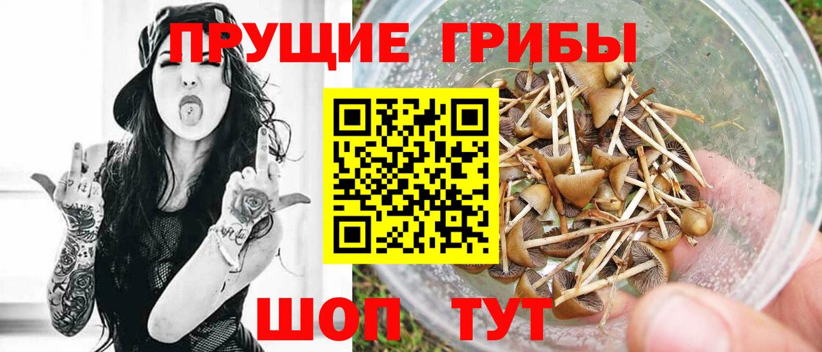 Галлюциногенные грибы мухоморы  цены наркотик  Учалы  Вход с VPN 